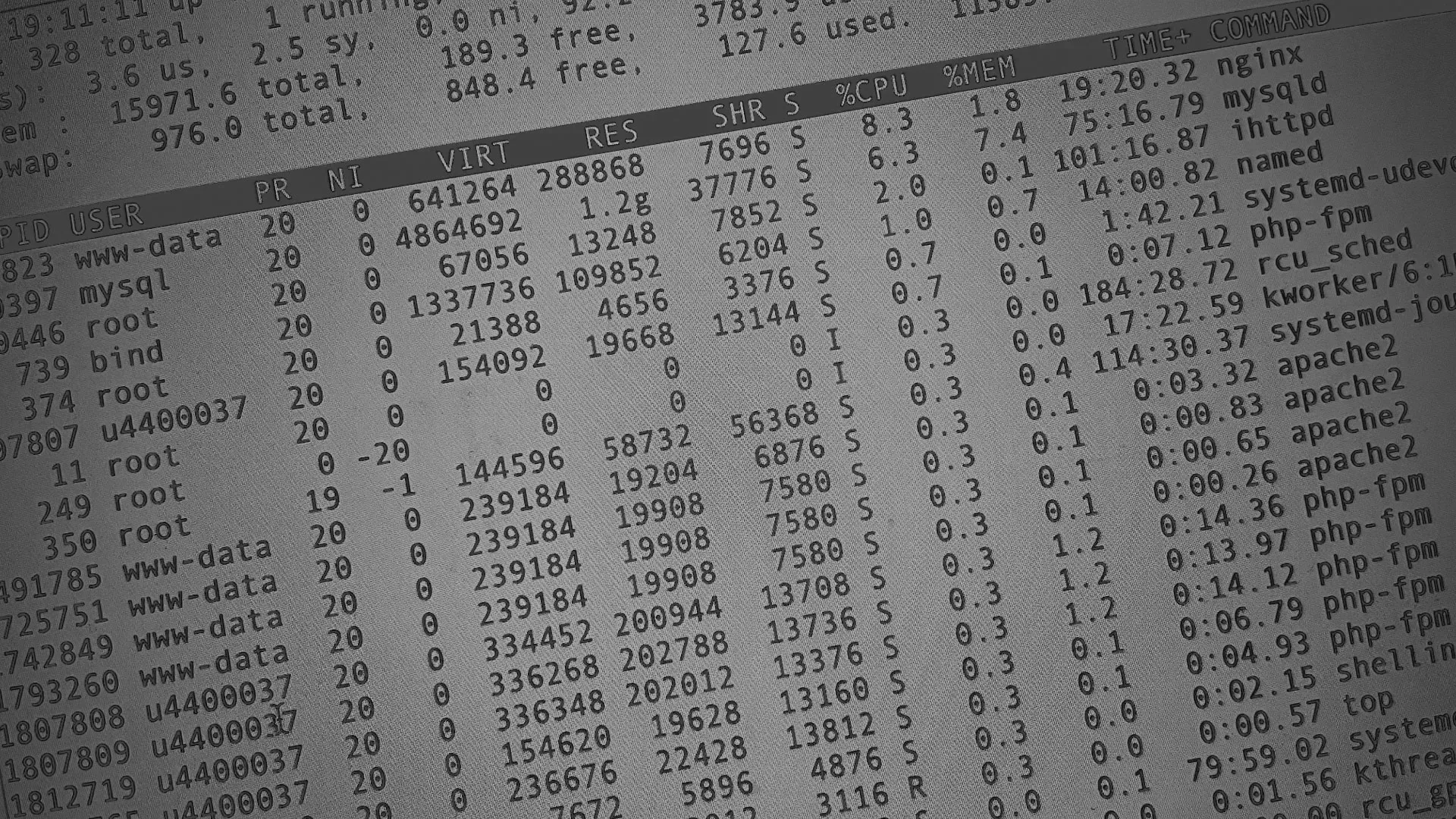 Настройка сервера в Пушкине