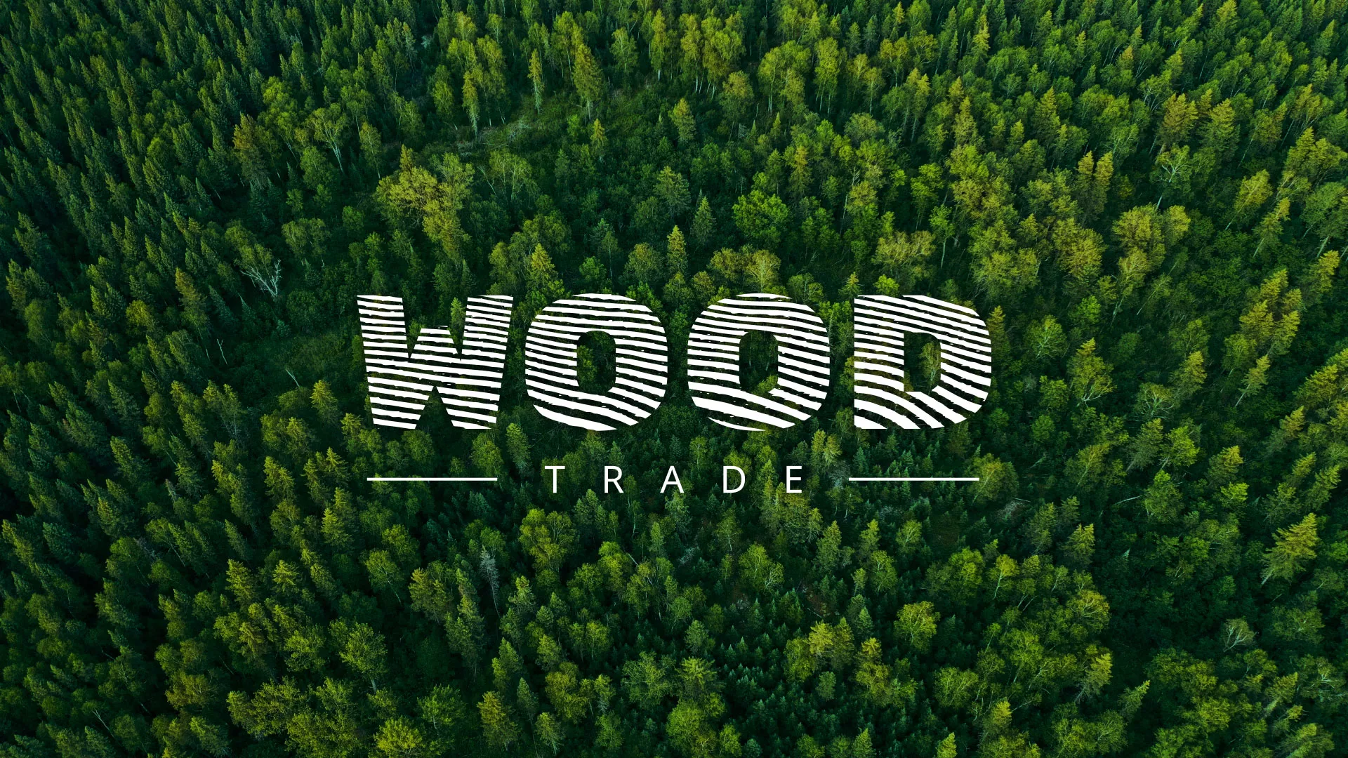 Разработка интернет-магазина компании «Wood Trade» в Пушкине