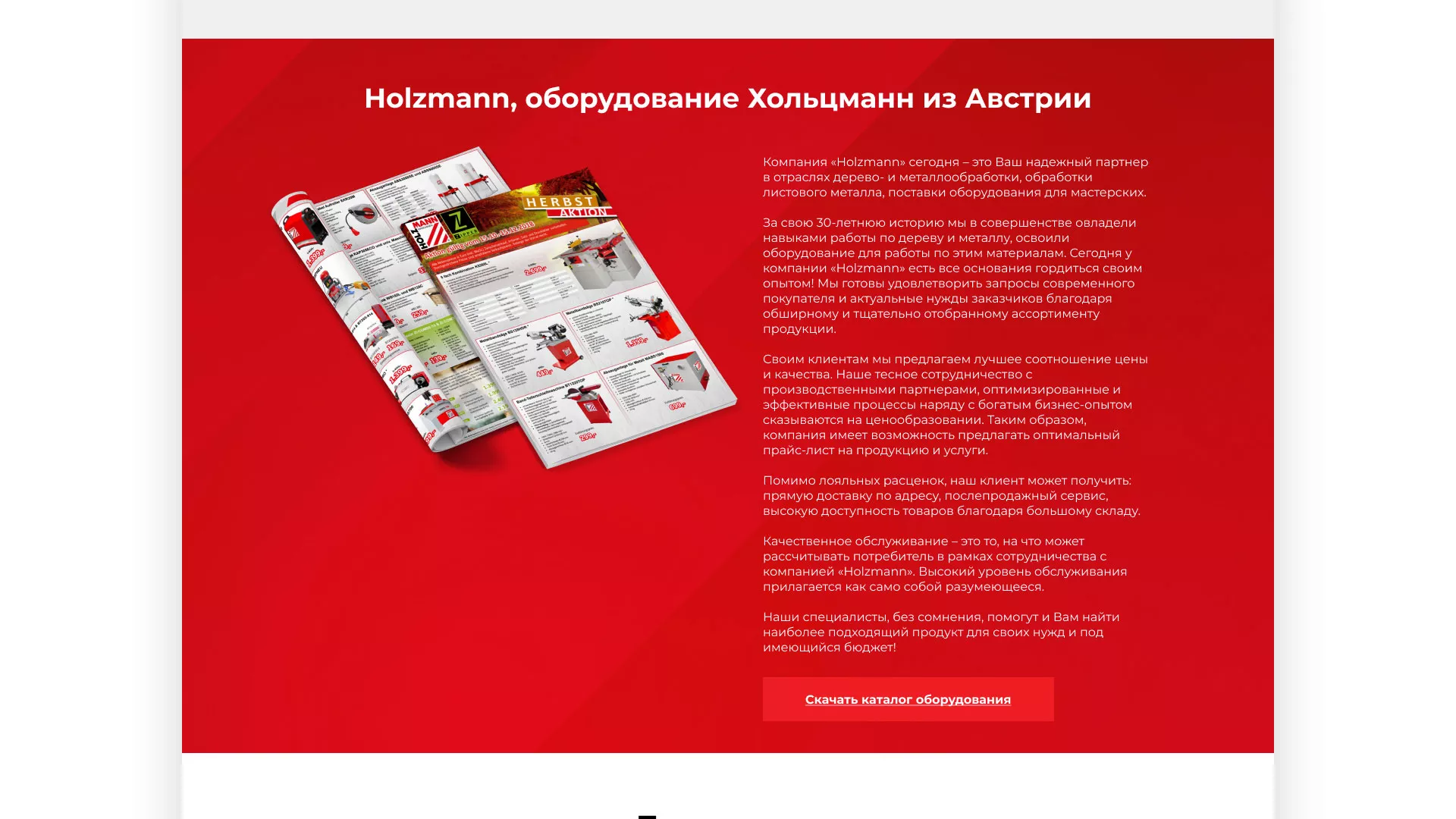 Создание сайта компании «HOLZMANN Maschinen GmbH» в Пушкине
