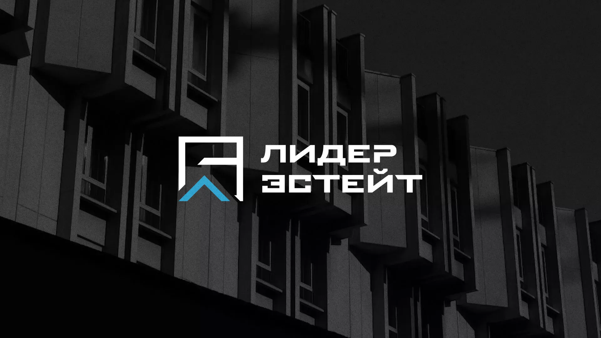 Разработка логотипа агентства недвижимости «Лидер Эстейт» в Пушкине